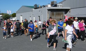 Fun Walk vir Gansies